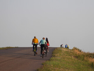 Fototapeta premium Cyclists drive forward along the road, rear view.