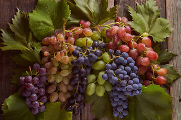 Different varieties of grapes on a wooden table.