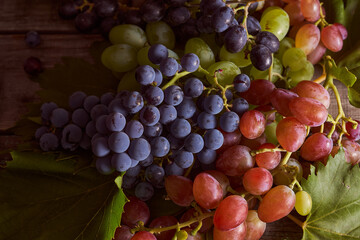 Different varieties of grapes on a wooden table.