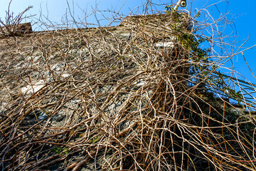 Nature Colors Monte di Procida (NA)
EOS Canon 1100D Obb:18-55mm