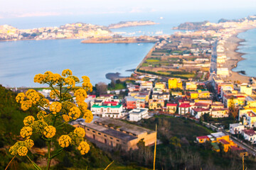Natureflowers Monte di Procida (NA)
EOS Canon 1100D Obb:18-55mm  