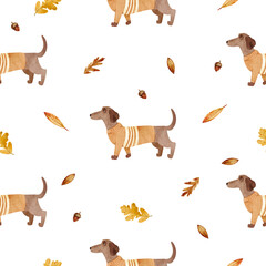 Watercolor seamless pattern with cute dachshunds wearing a sweater and leaves on white background