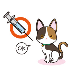 予防接種のワクチンを接種した三毛猫