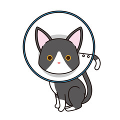 Fototapeta premium エリザベスカラーを付けた黒猫
