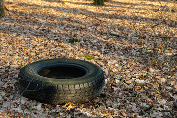 Rubber of used car thrown polluting the forest