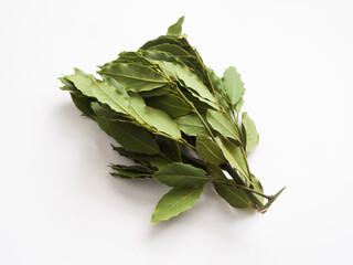 Bunch of green laurel leaves on white background. Studio photography