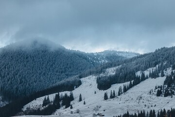 Carpathian mountains, winter, snow-capped peaks, clouds