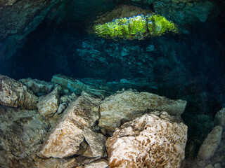 Opening of a stalactite underwater cave (Cenote Tajma Ha, Playa del Carmen, Quintana Roo, Mexico)