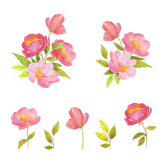 Set of watercolor wildflowers. Perfect for your spring designs, greeting cards, and more.