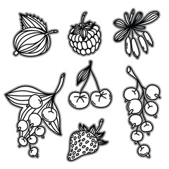 Monochrome berries set. Icon berry. Raspberries, strawberries, currants, cherries, cherries, barberries