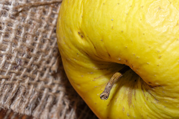 Yellow ripe wrinkled apple