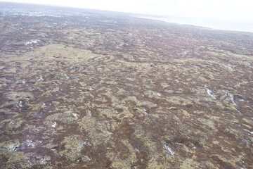 Ausgedehnte Lavafelder des Þráinsskjaldarhraun auf der Halbinsel Reykjanes im Südwesten Islands....