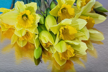 Top view of yellow daffodils and buds in lighting. Flowers daffodils on a reflective surface. Blurred background.