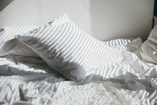 morning