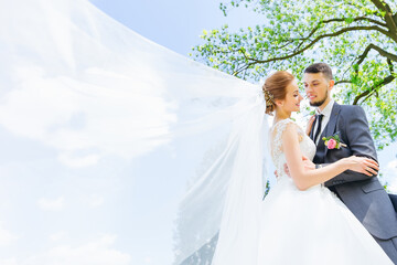 Romantic wedding couple posing against the backdrop of green trees and sky. Beautiful newlyweds on their wedding day