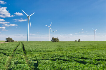 Varias turbinas e&oacute;licas en una llanura sembrada de trigo a&uacute;n verde