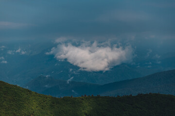 Carpathian mountains, summer, clouds, flowers, forest