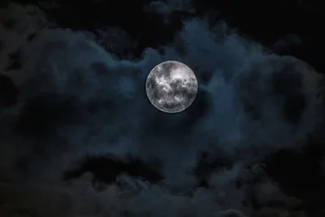 Peel and stick wall murals Full moon and trees Full Moon, Supermoon, Worm Moon with Cloud Cover
