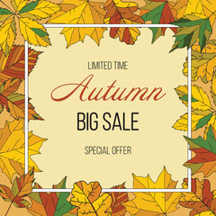 Frame of autumn leaves. Big autumn sale. Frame for advertising.Sale banner. Business discount card.