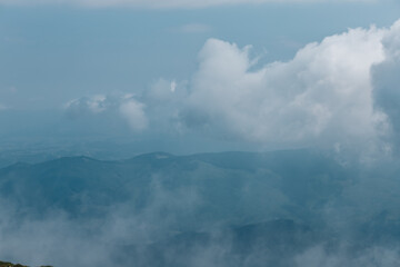 Carpathian mountains, summer, clouds, flowers, forest