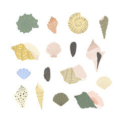 Set of seashells. Underwater nature. Flat design, vector illustration