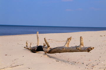 dead sea beach