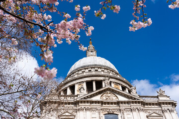 St. Paul's Cathedral surrounded by cherry blossom on a sunny Spring morning, London, United Kingdom