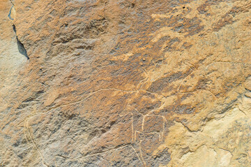 Ancient rock painting petroglyphs on rocks in Gobustan park, Azerbaijan