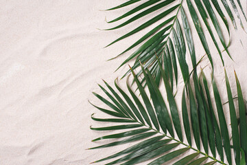 Top view of green tropical leaves on sand background. Flat lay. Minimal summer concept with palm tree leaves