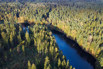 Aerial view of summer forest landscape with river