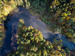 Aerial view of summer forest landscape with river with reflection of white clouds and blue sky in water