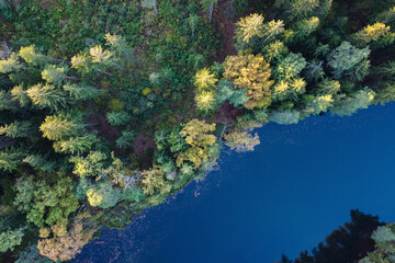 Naklejka na ściany i meble Aerial view of summer forest landscape with river, top trees