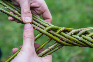 Making of traditional braided whip from pussywillow twigs for Easter Monday. Whip is known as "pomlazka", "tatar" or "karabáč" in Czech republic.