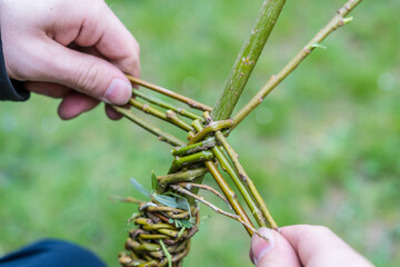 Making of traditional braided whip from pussywillow twigs for Easter Monday. Whip is known as "pomlazka", "tatar" or "karabáč" in Czech republic.