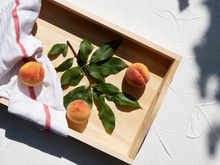 Freshly picked organic peaches on a tray in the summer sunshine with leaves