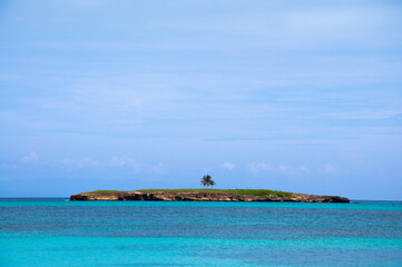 desert island in the ocean with one tree