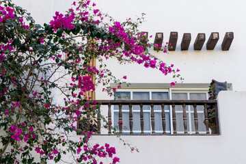 The view of top floor of house in the tropical garden with balcony and roof