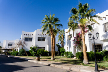 Fototapeta na wymiar Beautiful white houses at the tropical garden with palms
