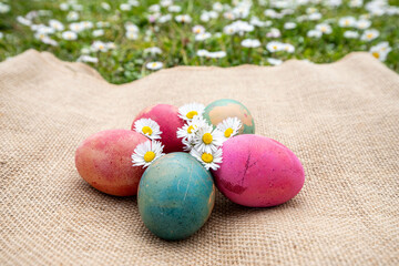 Natural coloured eggs with daisies on jute fabric background.