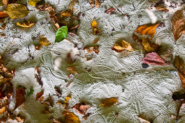 Obraz premium a patch of sand on a beach in koh rok island thailand with crab footsteps marks