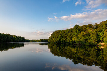 reflection of trees in the water