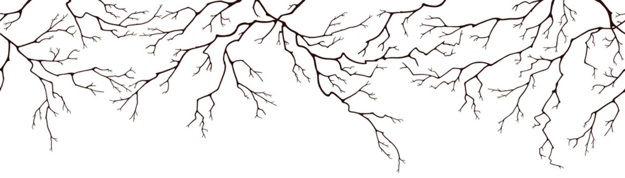 Horizontal seamless pattern of branches. Dark silhouettes of dry twigs without leaves. Monochrome drawing on an isolated white background.