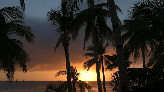 Stunning view of a dramatic sunset in the background and the silhouette of coconut palm trees in the foreground. White Beach, Boracay Island, Philippines.