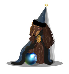 image of a dog in a costume of an astrologer with a magic ball in vector