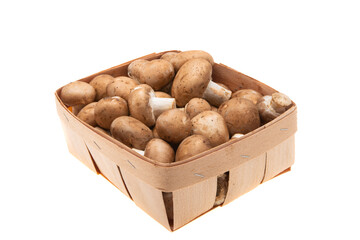 champignon mushrooms isolated