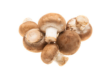 champignon mushrooms isolated