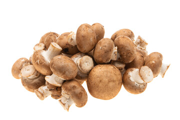 champignon mushrooms isolated
