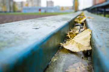 Fototapeta premium Fallen yellow leaves lie on a wooden bench against the blurred background of the stadium. 