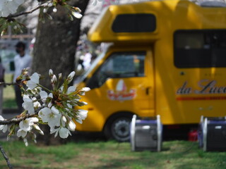 Obraz premium 公園にキャンピングカー 〜A truck came to the park