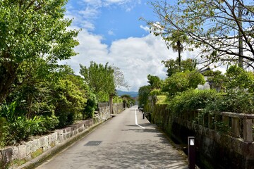 Fototapeta na wymiar 宮崎飫肥のメインストリート